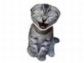 Laughing Cat hrát on-line