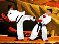 Taekwon-Do hrát on-line