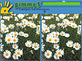 Gimme 5 hrát on-line