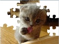 Cute Cat Puzzle hrát on-line