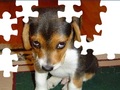 Cute Dog Puzzle hrát on-line