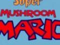 Super Mushroom Mario hrát on-line