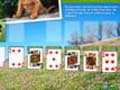 Animal Planet Solitaire hrát on-line